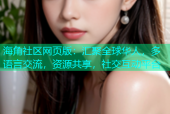 海角社区网页版：汇聚全球华人，多语言交流，资源共享，社交互动平台