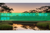 深夜福利国产精选海角社区：精彩视频推荐