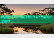 深夜福利国产精选海角社区：精彩视频推荐
