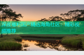 深夜福利国产精选海角社区：精彩视频推荐