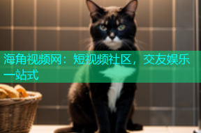 海角视频网：短视频社区，交友娱乐一站式