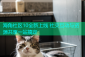 海角社区10全新上线 社交互动与资源共享一站搞定