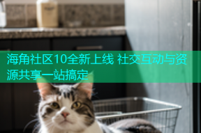 海角社区10全新上线 社交互动与资源共享一站搞定