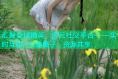 汇聚全球精英，多元社交平台——实时互动、兴趣圈子、资源共享
