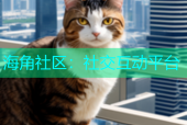 海角社区：社交互动平台