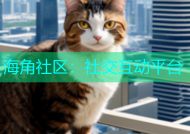 海角社区：社交互动平台