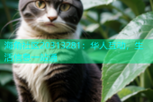 海角社区20313281：华人互动，生活信息一站通