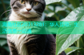 海角社区20313281：华人互动，生活信息一站通