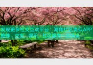 发现更多社交互动平台：海角社区类似APP推荐，交友、娱乐、社区服务一应俱全
