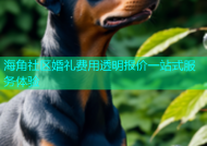 海角社区婚礼费用透明报价一站式服务体验