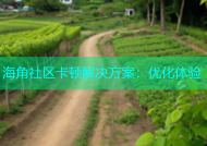 海角社区卡顿解决方案：优化体验