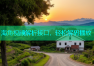 海角视频解析接口，轻松解码播放