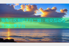 海角社区我的大白二姐：社交互动与生活分享平台