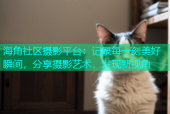 海角社区摄影平台：记录每一刻美好瞬间，分享摄影艺术，发现新视角