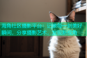 海角社区摄影平台：记录每一刻美好瞬间，分享摄影艺术，发现新视角
