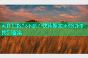 海角社区找不到？快速搜索平台助你找到答案