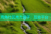 海角社区南方母子：互助平台