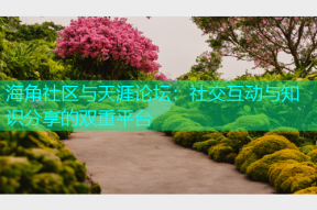 海角社区与天涯论坛：社交互动与知识分享的双重平台