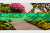 海角社区视频：发现新视界，分享生活瞬间