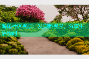 海角社区视频：发现新视界，分享生活瞬间