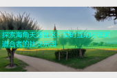 探索海角天涯社区：实时互动与志同道合者的社交乐园