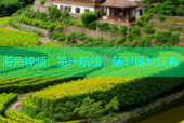 海角视频：第一航线，随时随地观看