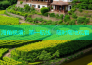 海角视频：第一航线，随时随地观看