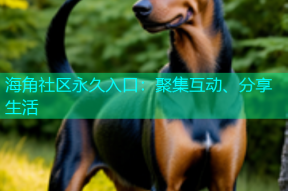 海角社区永久入口：聚集互动、分享生活