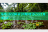 海角社区图片去水印神器轻松还原高清原图