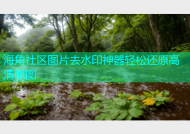 海角社区图片去水印神器轻松还原高清原图