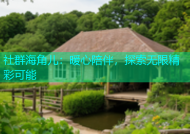 社群海角儿：暖心陪伴，探索无限精彩可能