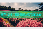 海角视频：随时随地高清在线看