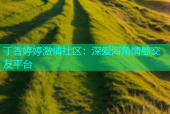 丁香婷婷激情社区：深爱海角情感交友平台