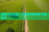 海角社区充值入口快速到账畅享专属福利