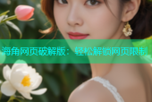 海角网页破解版：轻松解锁网页限制