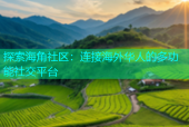 探索海角社区：连接海外华人的多功能社交平台