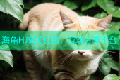 海角HJ90C社区：互动分享平台