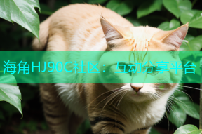 海角HJ90C社区：互动分享平台