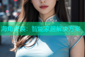 海角安装：智能家居解决方案