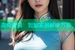 海角安装：智能家居解决方案