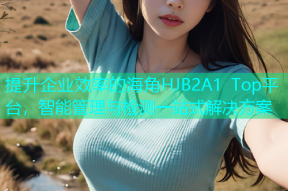 提升企业效率的海角HJB2A1 Top平台，智能管理与检测一站式解决方案