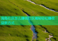 海角社区怎么赚钱社区揭秘轻松赚收益新方式
