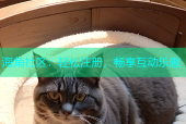 海角社区：轻松注册，畅享互动乐趣