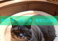 海角社区：轻松注册，畅享互动乐趣