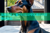 海角社区人妻少妇互动专区精彩内容等你发现