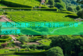 海角社区摄影：记录美好瞬间，分享视觉故事