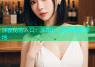 深夜秘密入口：海角社区的神秘聚集地