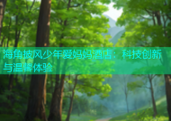 海角披风少年爱妈妈酒店：科技创新与温馨体验