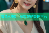 海角HJ90：高效智能管理平台