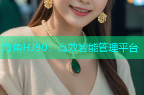 海角HJ90：高效智能管理平台